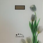 ترازو دیجیتالی گلدن استار